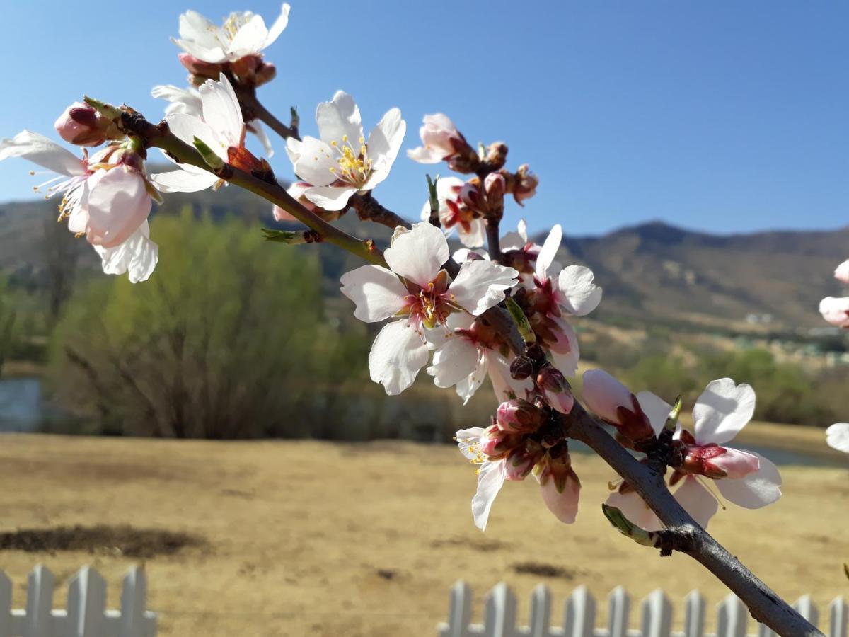 Lake Clarens Guest House Bagian luar foto