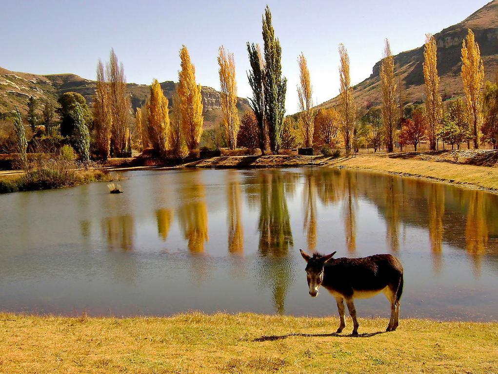 Lake Clarens Guest House Bagian luar foto