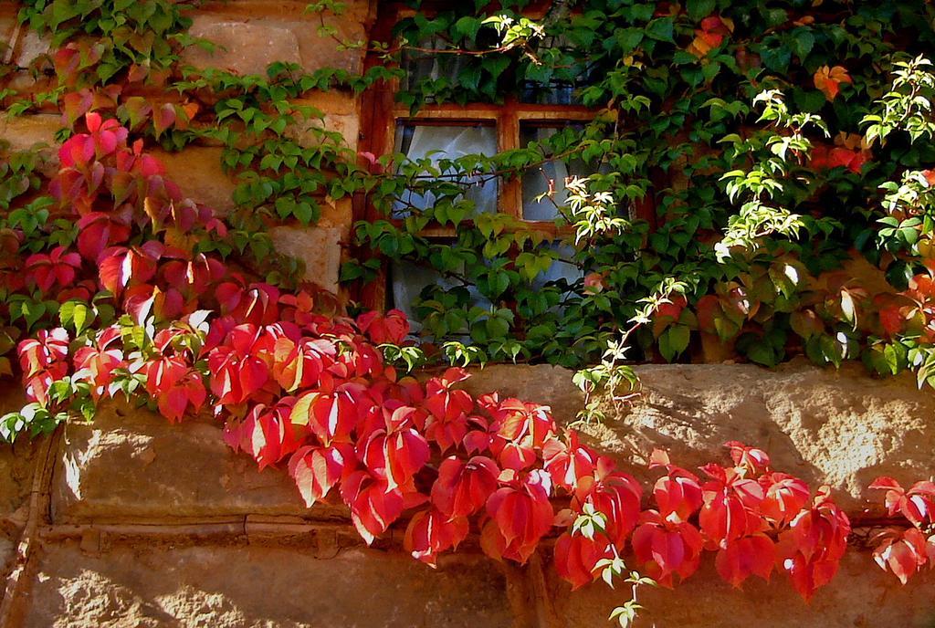 Lake Clarens Guest House Bagian luar foto