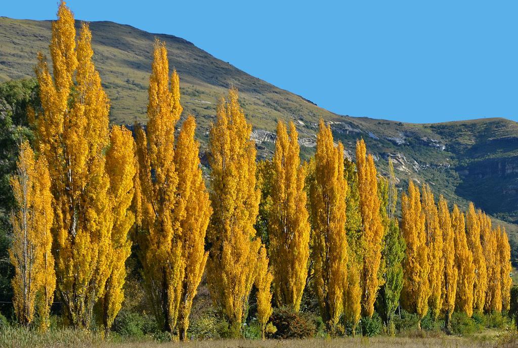 Lake Clarens Guest House Bagian luar foto