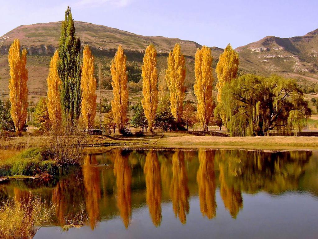 Lake Clarens Guest House Ruang foto
