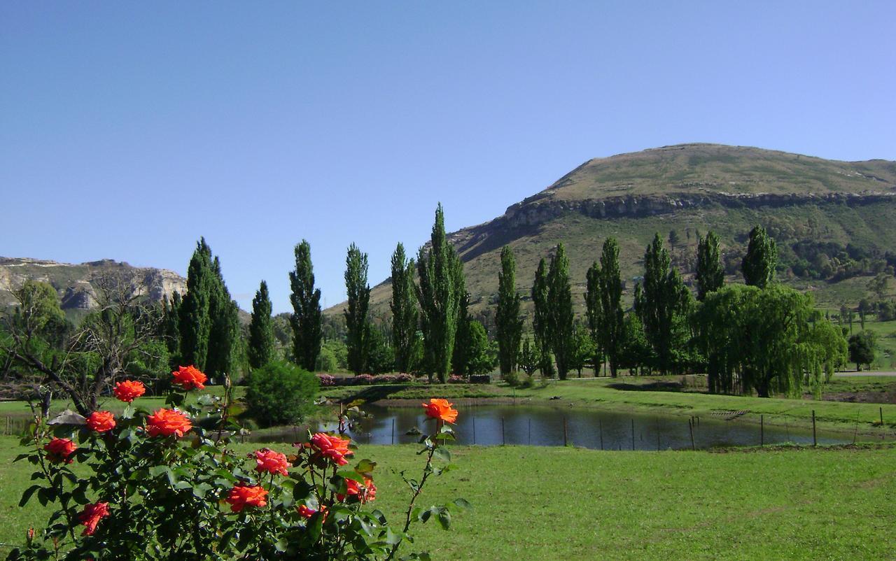 Lake Clarens Guest House Bagian luar foto